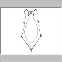 hame fine cut 4 1023 787.jpg